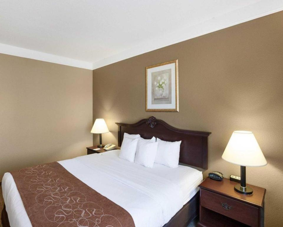 Comfort Suites Plainview Экстерьер фото