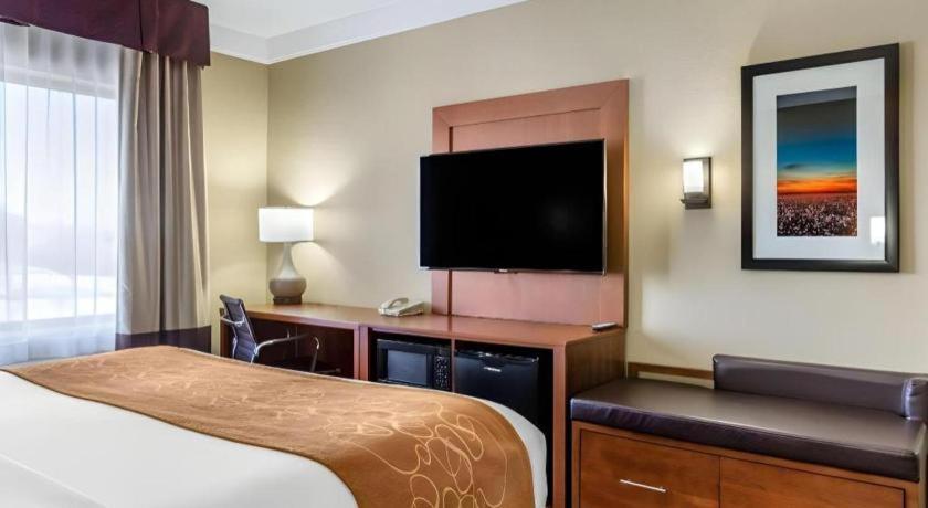 Comfort Suites Plainview Экстерьер фото
